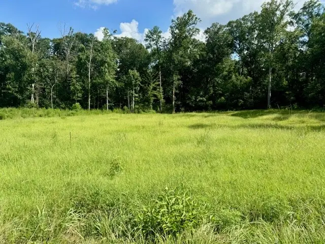 Lot 70 Ryall Ac County Road 172, Jasper, TX 75951 - Image #3