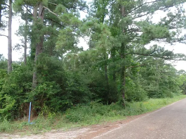 340 Cr 2650, Shelbyville, TX 75973