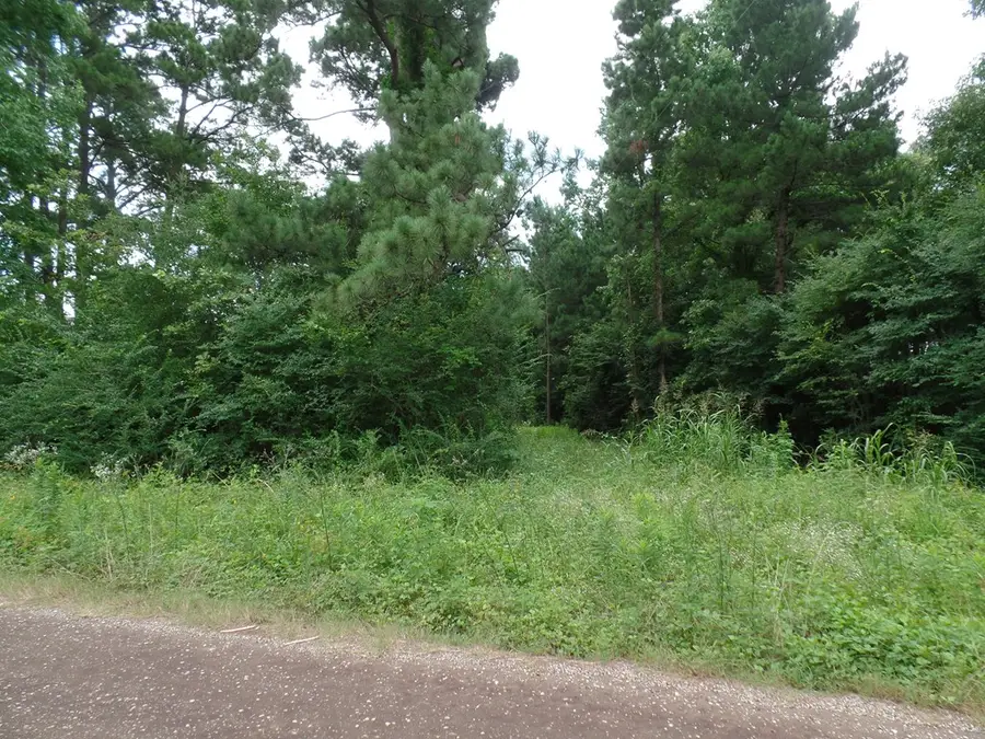 340 Cr 2650, Shelbyville, TX 75973 - Image #2