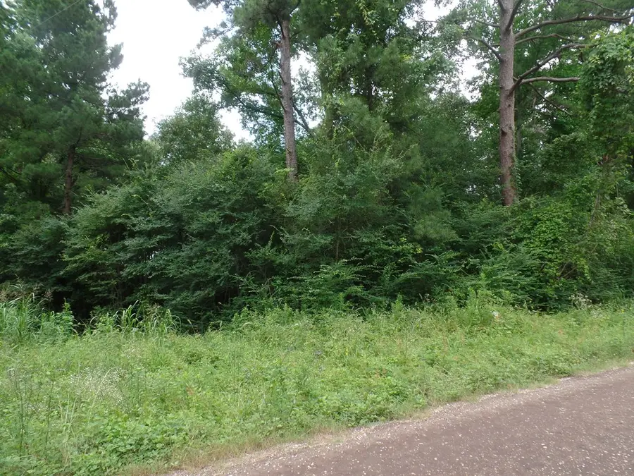 340 Cr 2650, Shelbyville, TX 75973 - Image #3