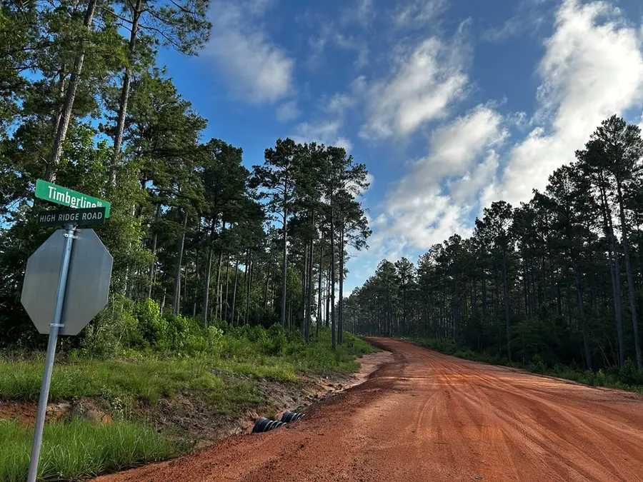 LOT  293 Timberlane, Hillister, TX 77624 - Image #2