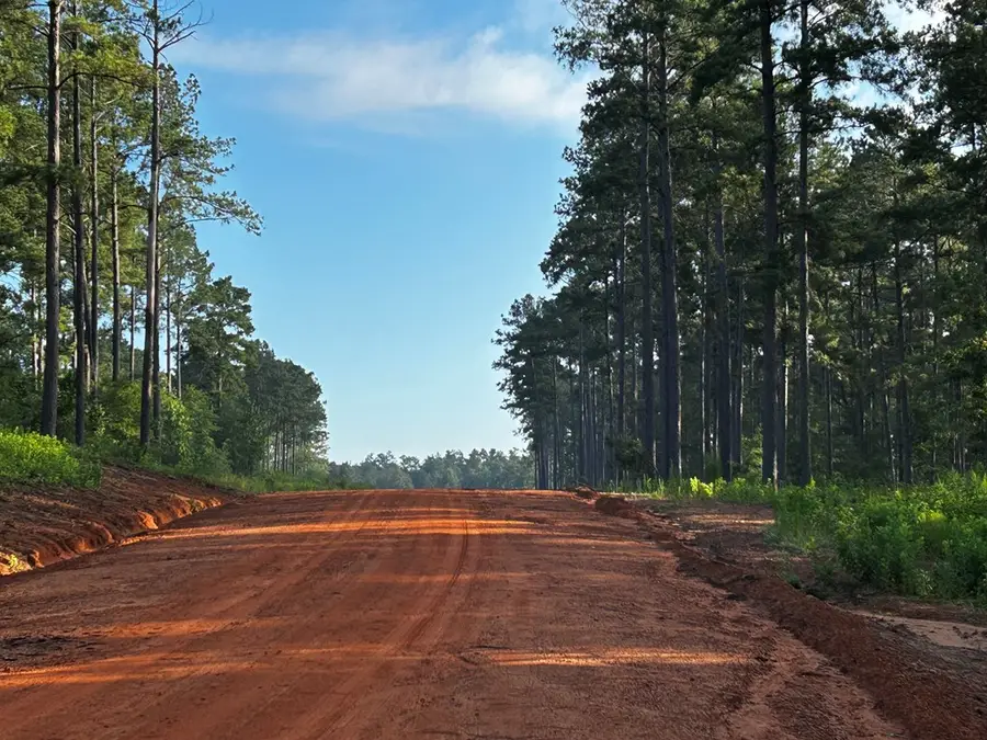 LOT  293 Timberlane, Hillister, TX 77624 - Image #3