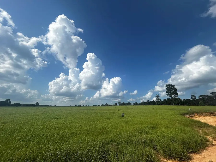 LOT 247 Meadowview, Hillister, TX 77624 - Image #3