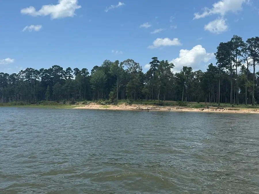 229 Foster Cove, Pineland, TX 75968 - Image #2