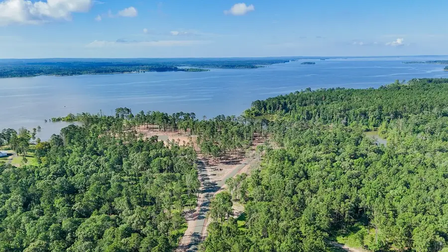 229 Foster Cove, Pineland, TX 75968 - Image #3