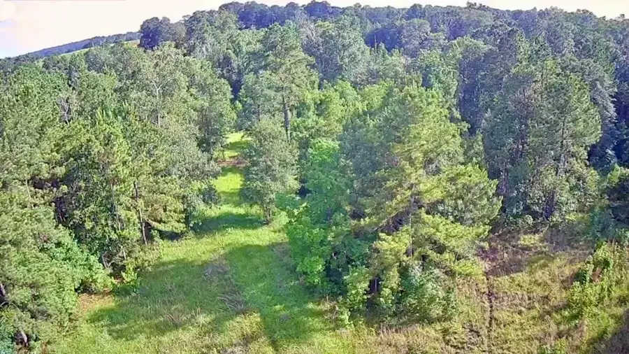 LOT 184 & 185 Hunters Creek Drive, Hillister, TX 77624 - Image #3