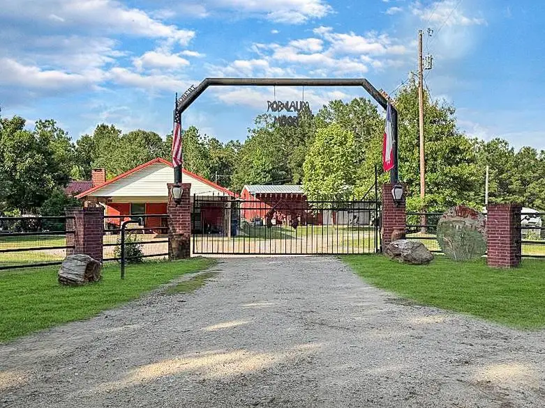 341 Red Wolf Lane, Brookeland, TX 75931 - Image #2