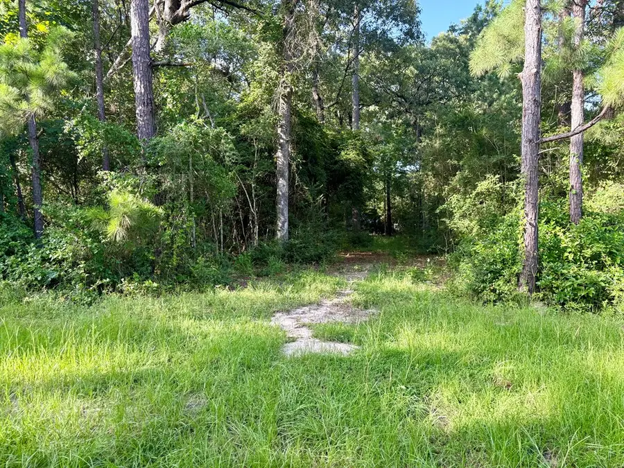 139 Oak Ridge Street, Huntington, TX 75949 - Image #3