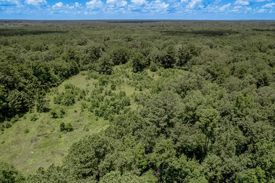 2149 Martin Cochran Road, Huntington, TX 75949 - Image #2