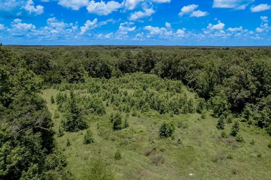 2149 Martin Cochran Road, Huntington, TX 75949 - Image #3