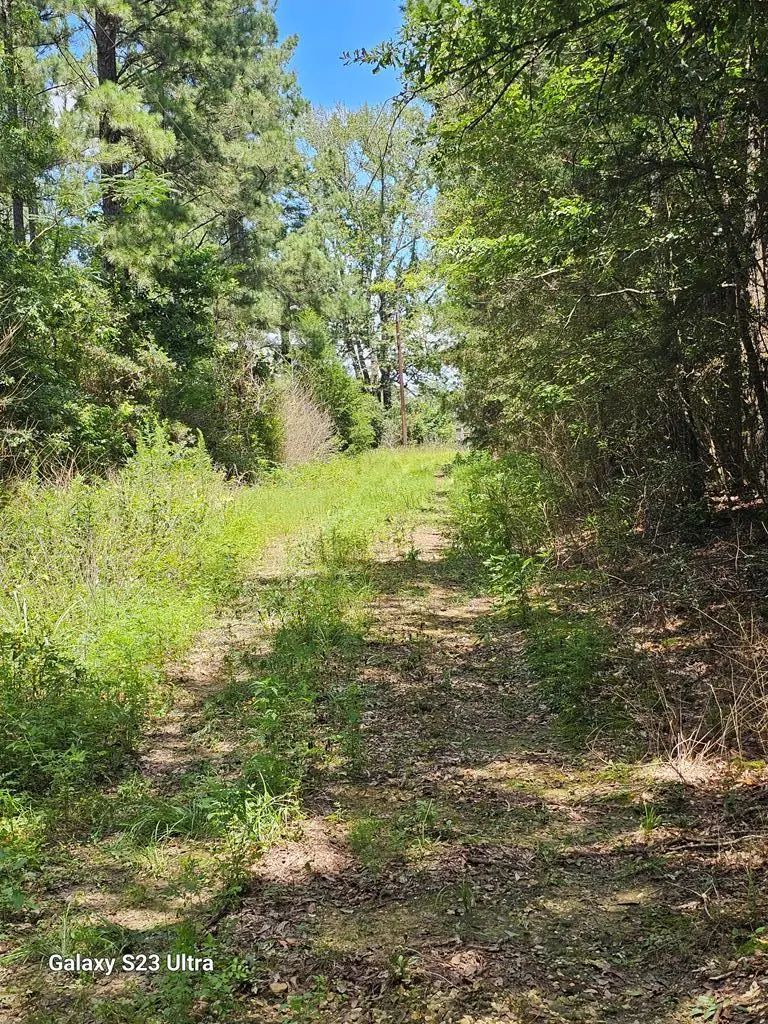 449 County Road 4851, Timpson, TX 75975 - Image #1