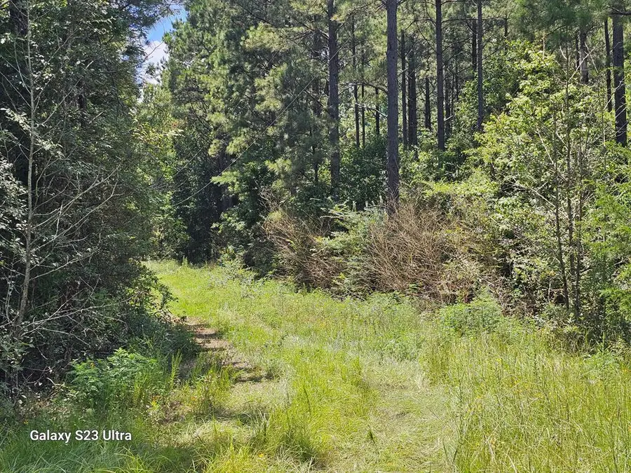 449 County Road 4851, Timpson, TX 75975 - Image #2