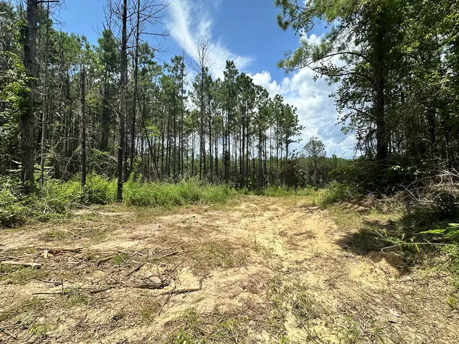 380171 County Road 4210, Woodville, TX 75979 - Image #2