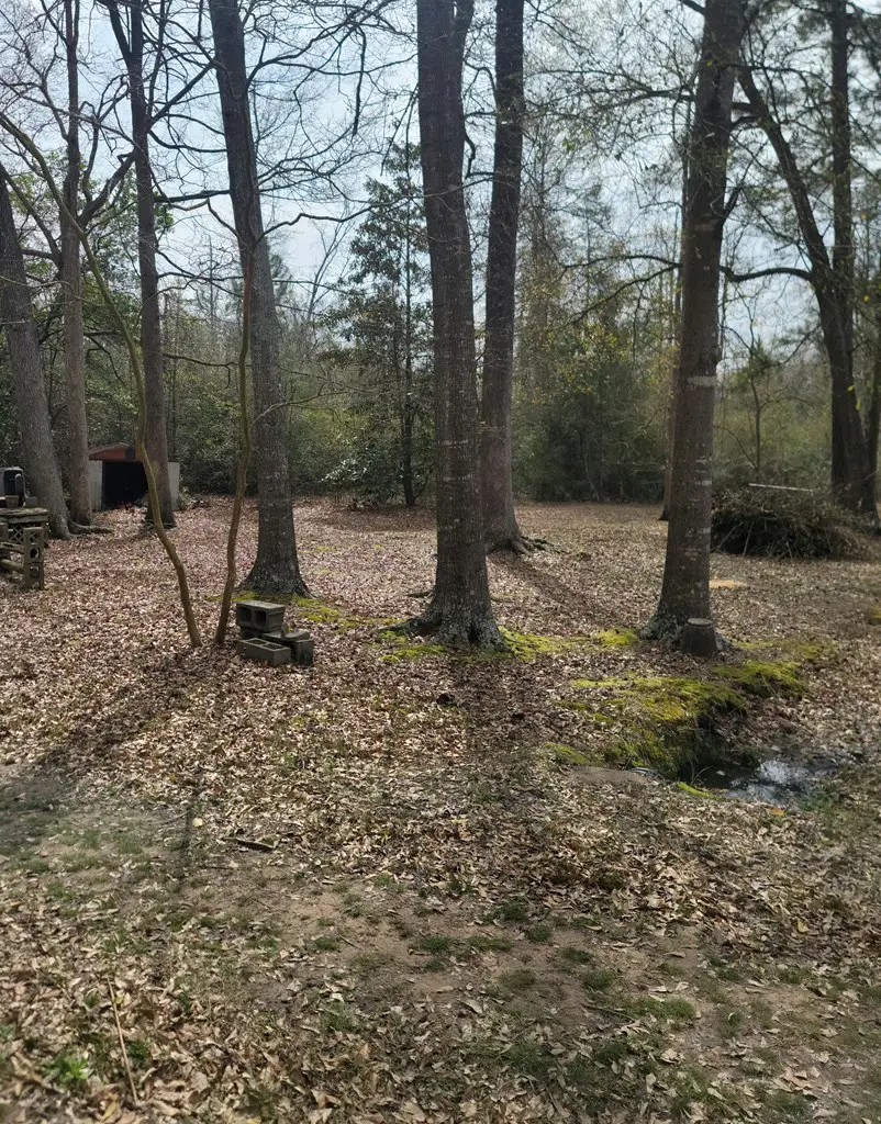 2540 Brentwood Drive, Lufkin, TX 75901 - Image #2