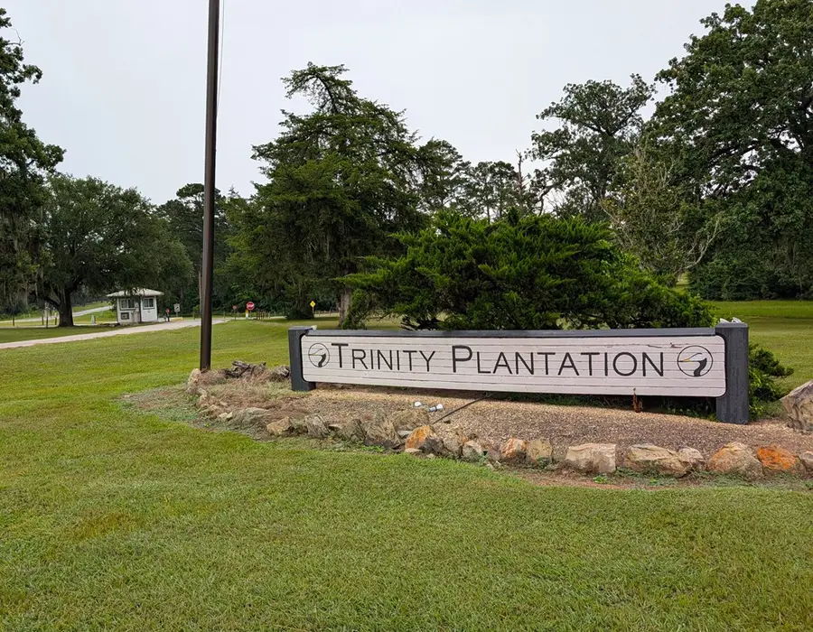 Lot 02A Charleston St, Trinity, TX 75862 - Image #2