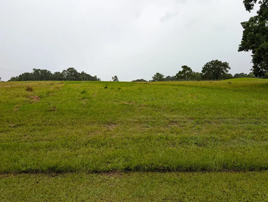 Lot 02A Charleston St, Trinity, TX 75862 - Image #3