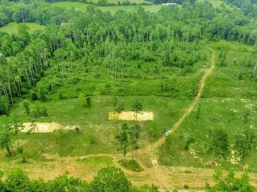 695 Rodeo Drive, Pollok, TX 75969 - Image #2