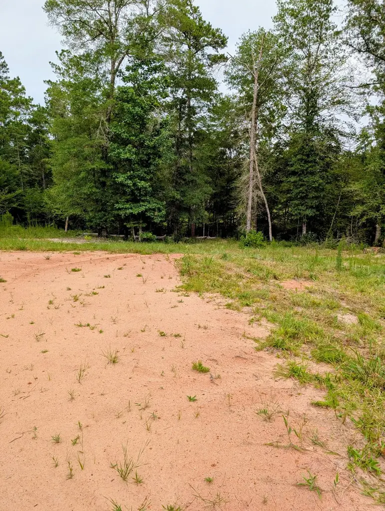 R31880 Fm 1669, Huntington, TX 75949 - Image #3