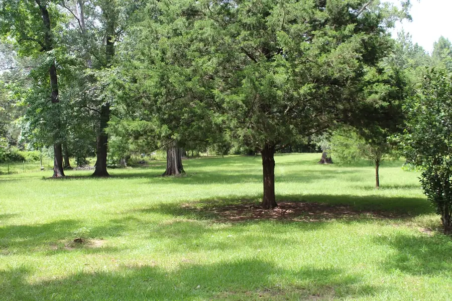 4875 County Road 150, Jasper, TX 75951 - Image #2