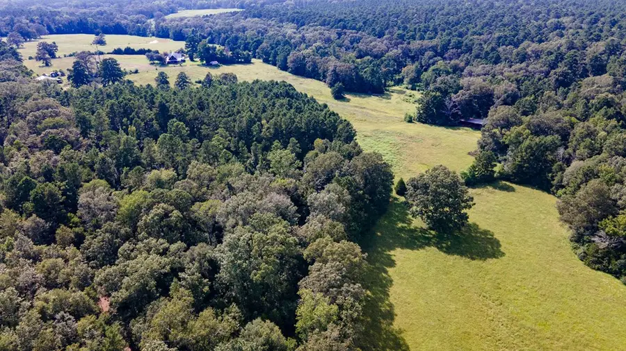 498 Cr 3200, San Augustine, TX 75972 - Image #3