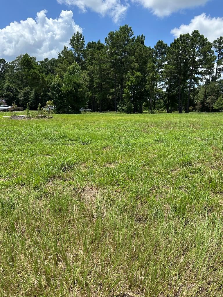 R143749(Lot26) Dena Kay Drive, Lufkin, TX 74904 - Image #1