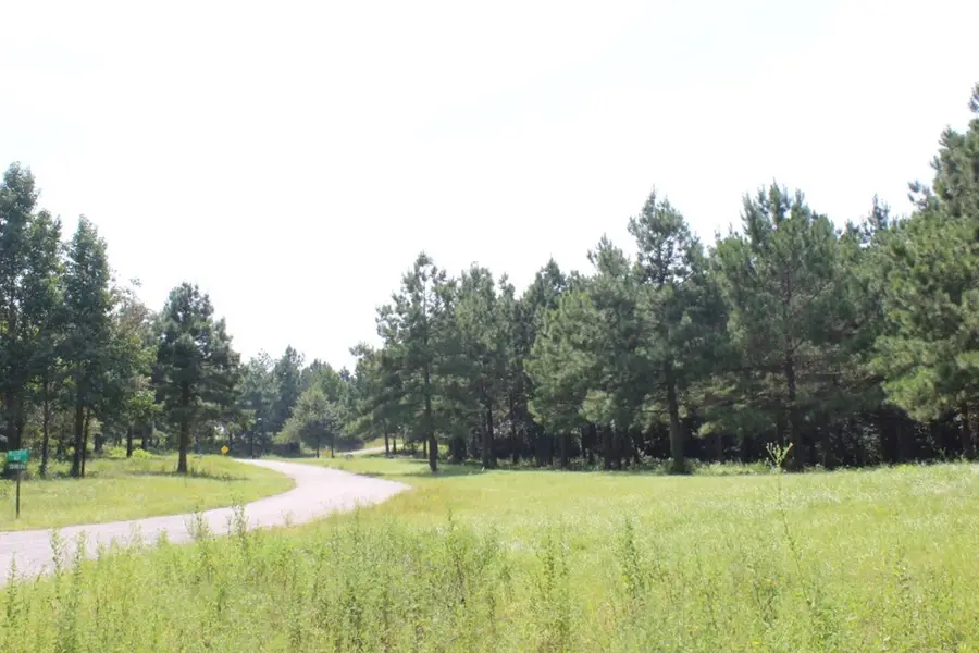 Lots 21 & 22 Cypress Hills, Jasper, TX 75951 - Image #2