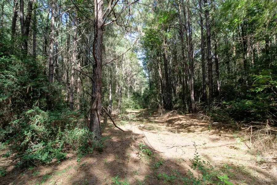 P 38-54 Lakepoint Passage, Douglass, TX 75943 - Image #3