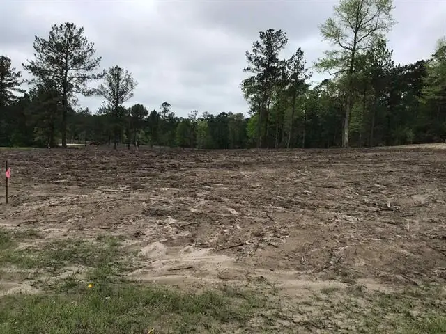 113 Joley Place, Burkeville, TX 75932 - Image #3