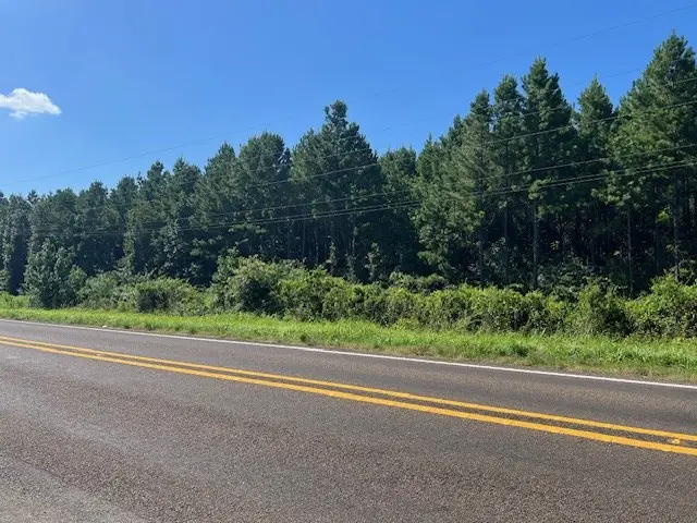 3032 Highway 184, Hemphill, TX 75948 - Image #2