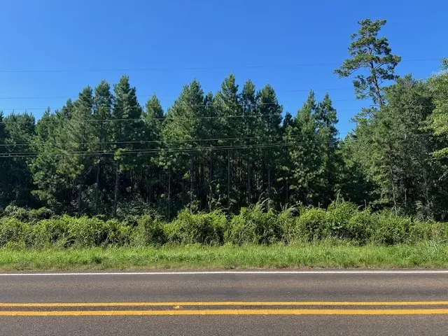 3032 Highway 184, Hemphill, TX 75948 - Image #3