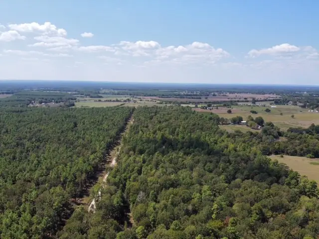 2896P07&8 Cr 2626, Wells, TX 75976 - Image #3