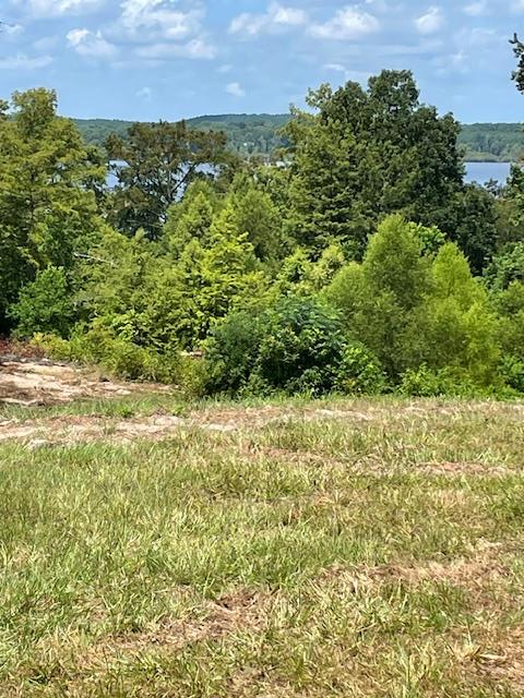 430 County Road 3360, Broaddus, TX 75929 - Image #1