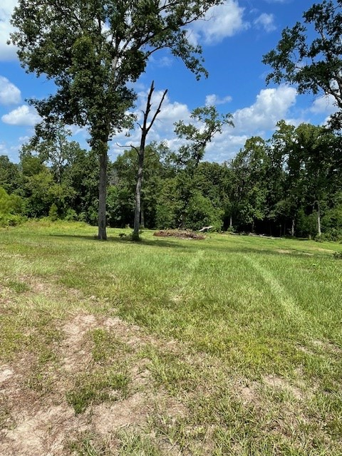 430 County Road 3360, Broaddus, TX 75929 - Image #2