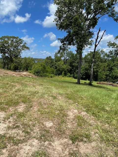 430 County Road 3360, Broaddus, TX 75929 - Image #3