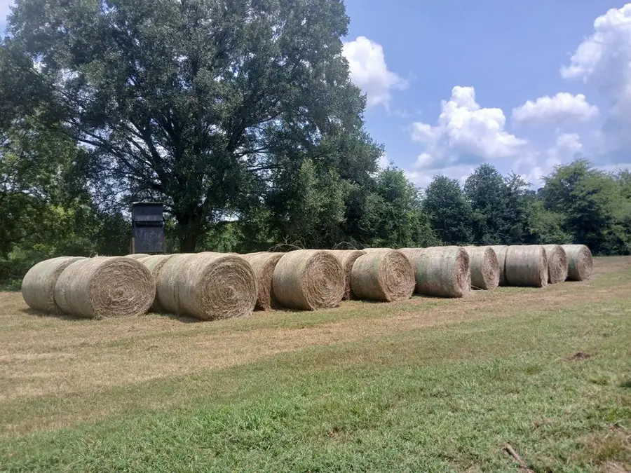 3551 Cr 2734, Wells, TX 75976 - Image #2