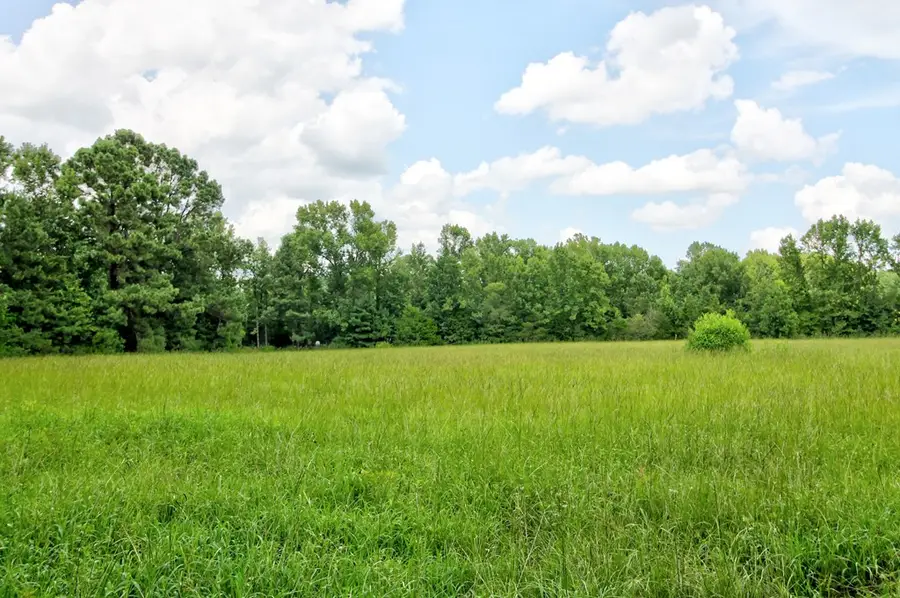 3551 Cr 2734, Wells, TX 75976 - Image #3