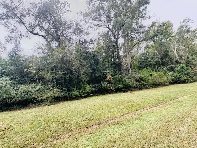 1801 S Wheeler Street, Jasper, TX 75951 - Image #3