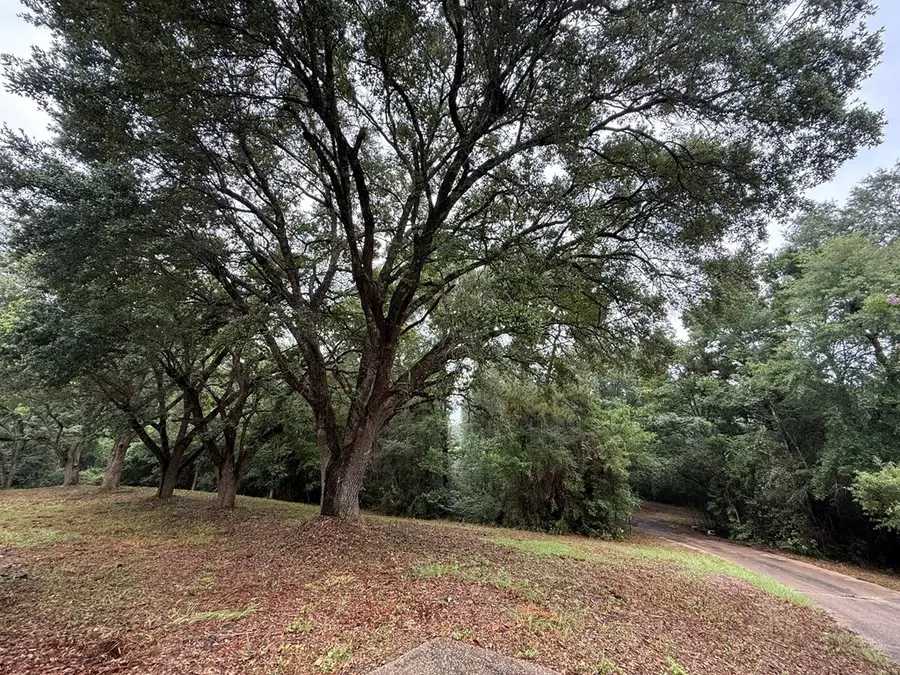 210 PR 6241 off Cr 256, Jasper, TX 75951 - Image #2