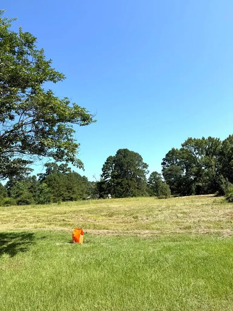 TBD Fm 2026, Center, TX 75935 - Image #1