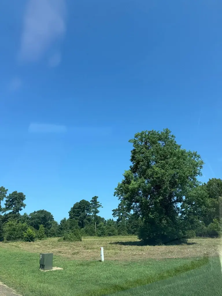 TBD Fm 2026, Center, TX 75935 - Image #3