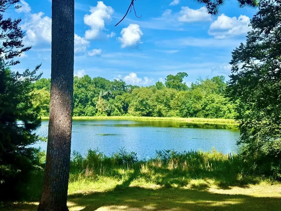 TBD Lakeland Ranch, Hillister, TX 77624 - Image #3