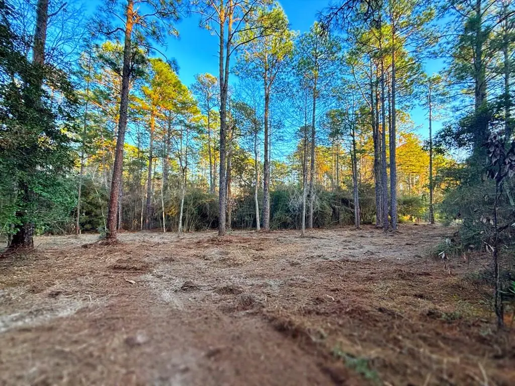 PID# 34570 Sago Court, Brookeland, TX 75931 - Image #1