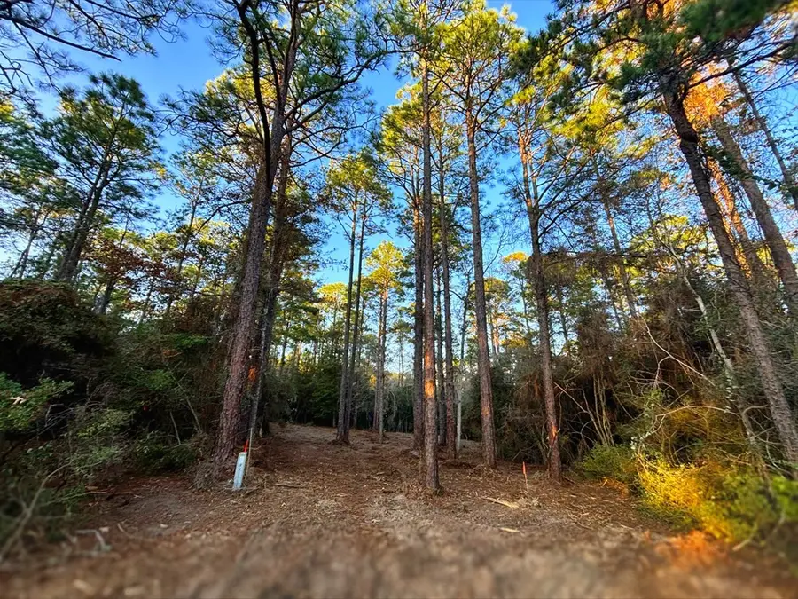 PID# 34570 Sago Court, Brookeland, TX 75931 - Image #3