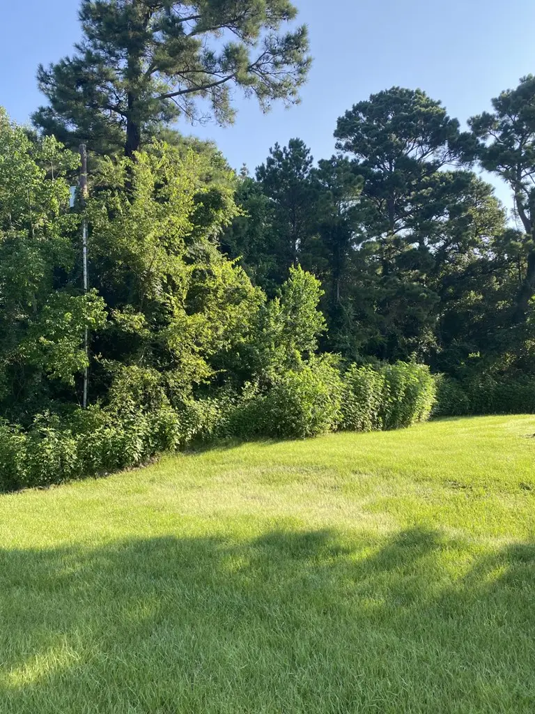 1505 South John Redditt Drive, Lufkin, TX 75904 - Image #2