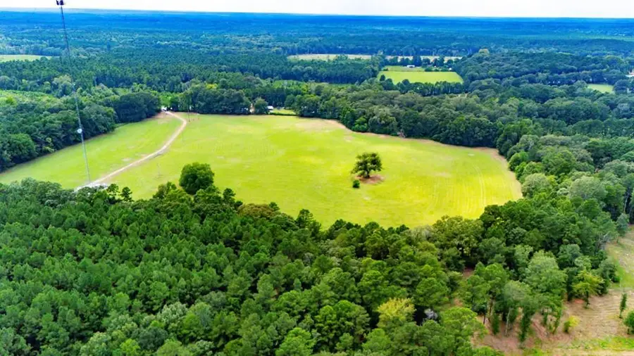 000 Us Hwy 96, San Augustine, TX 75972 - Image #2