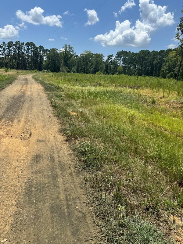 R28429(lot10) Private Road 7700, San Augustine, TX 75972