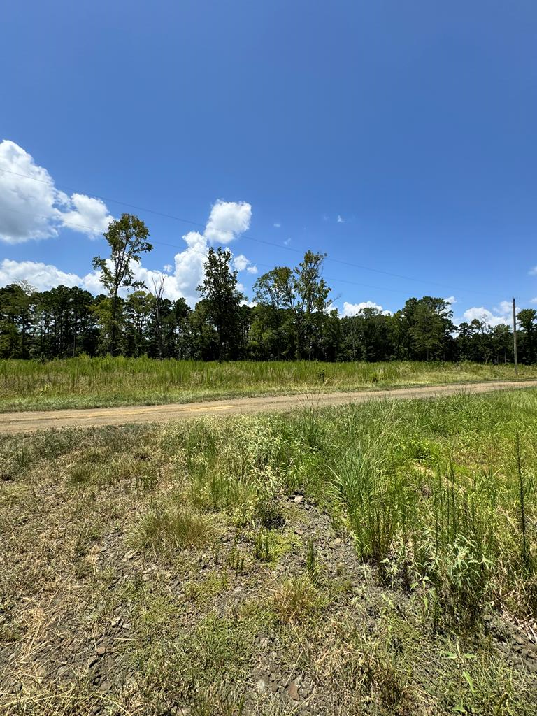 R28429 (lot 11) Private Road 7700, San Augustine, TX 75972 - Image #1