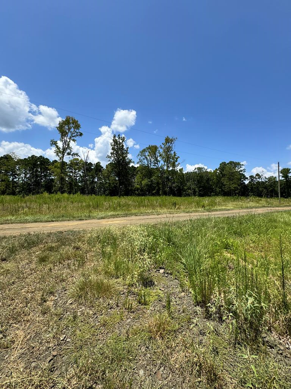R28429 (lot 11) Private Road 7700, San Augustine, TX 75972