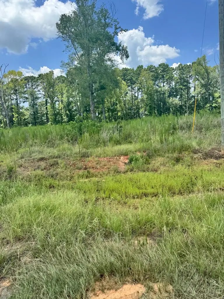R28429(lot12) Private Road 7700, San Augustine, TX 75972 - Image #1