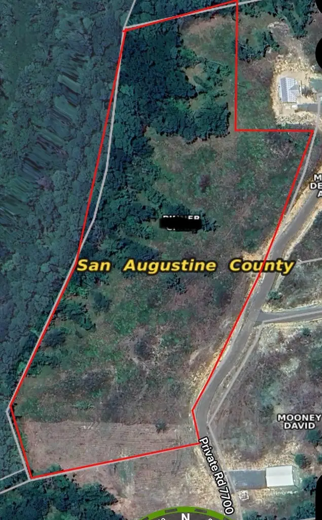 R28429(Lot13) Private Road 7700, San Augustine, TX 75972 - Image #3